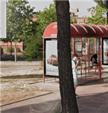 CC019345 - POL. LOS ROSALES C/ TULIPAN ESQ. GTA. NO